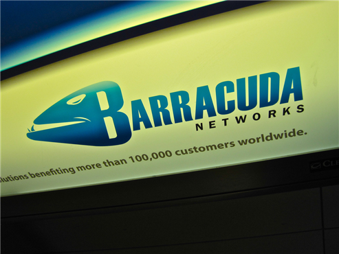 Barracuda Networks (CUDA) Rises on Q2 Results